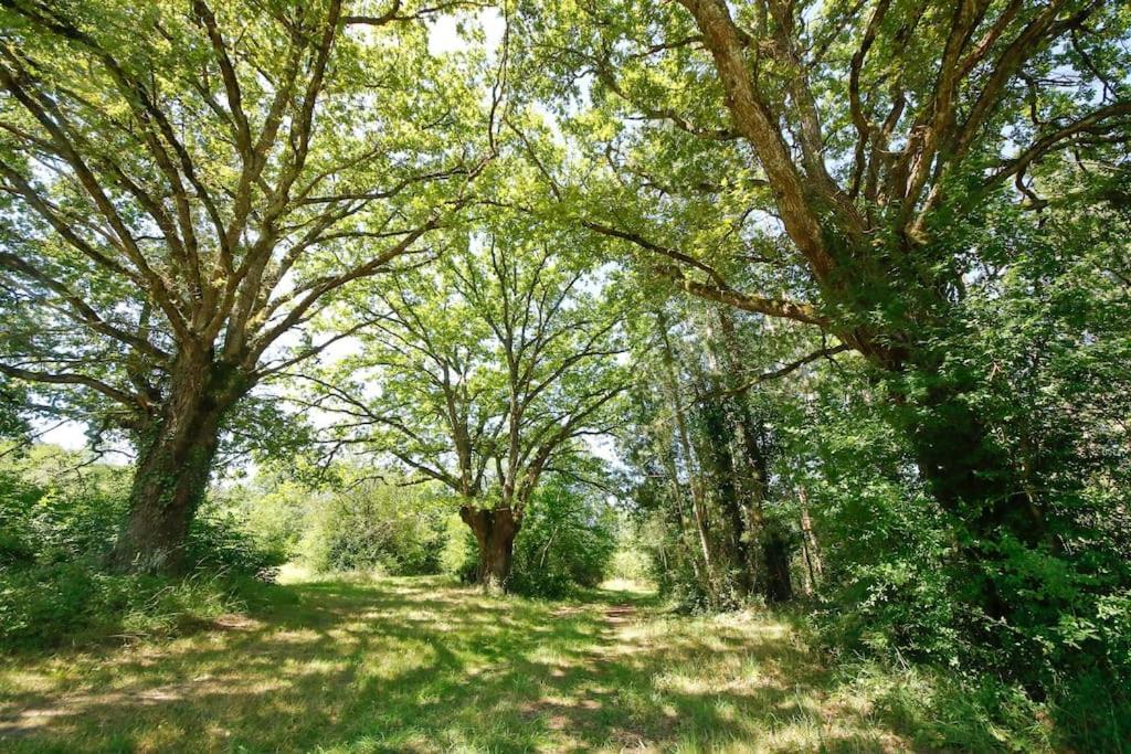 Domaine La Faix, Gite La Forestiere Saint-Plaisir Exterior photo
